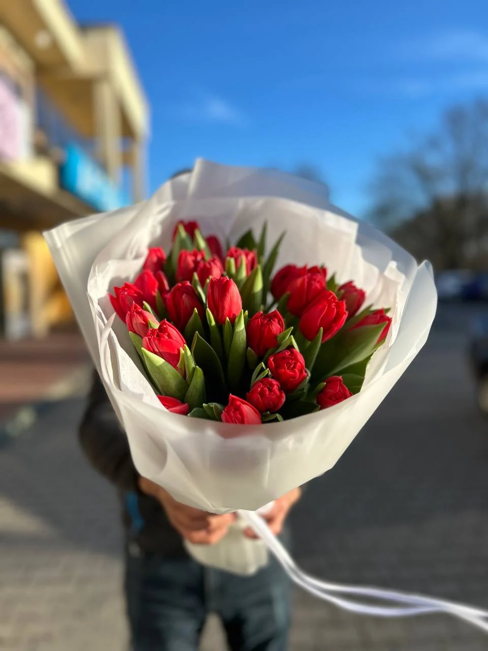 czerwone tulipany zdjęcie