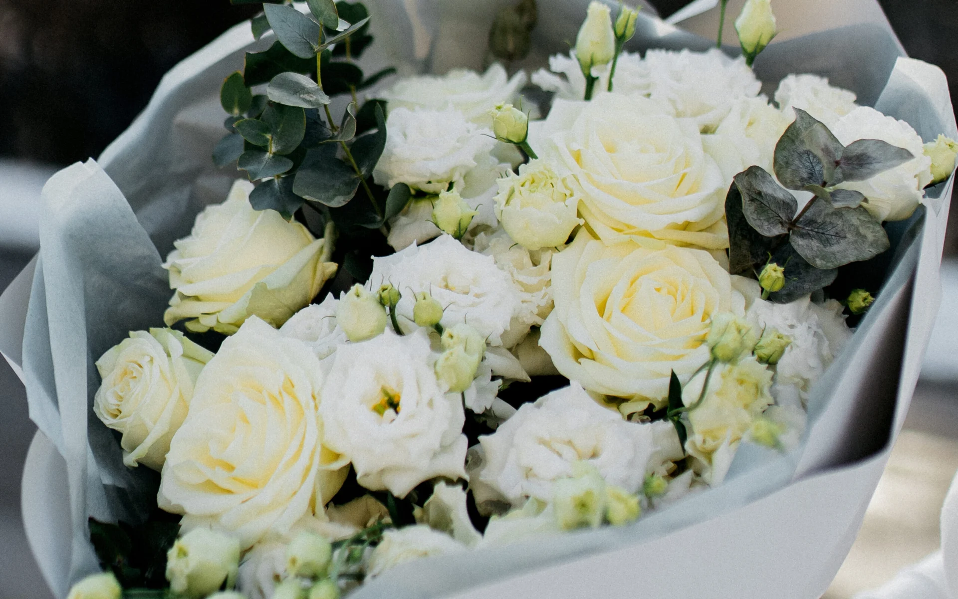 eustoma biała z białą różą dostawa kwiatowa