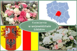 Kwiaciarnia Łódzkie