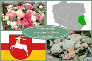 Kwiaciarnia Lubelskie