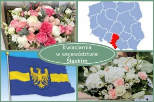 Kwiaciarnia Śląskie