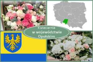 Kwiaciarnia Opolskie
