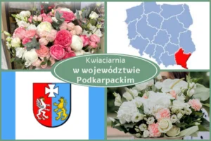 Kwiaciarnia Podkarpackie