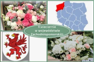 Kwiaciarnia Zachodniopomorskie