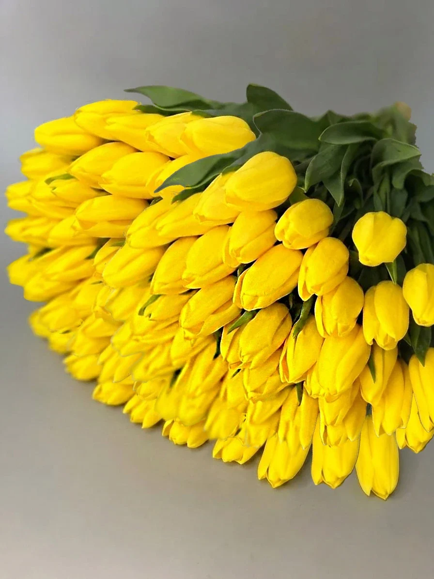 Żółte tulipany  - 100 szt