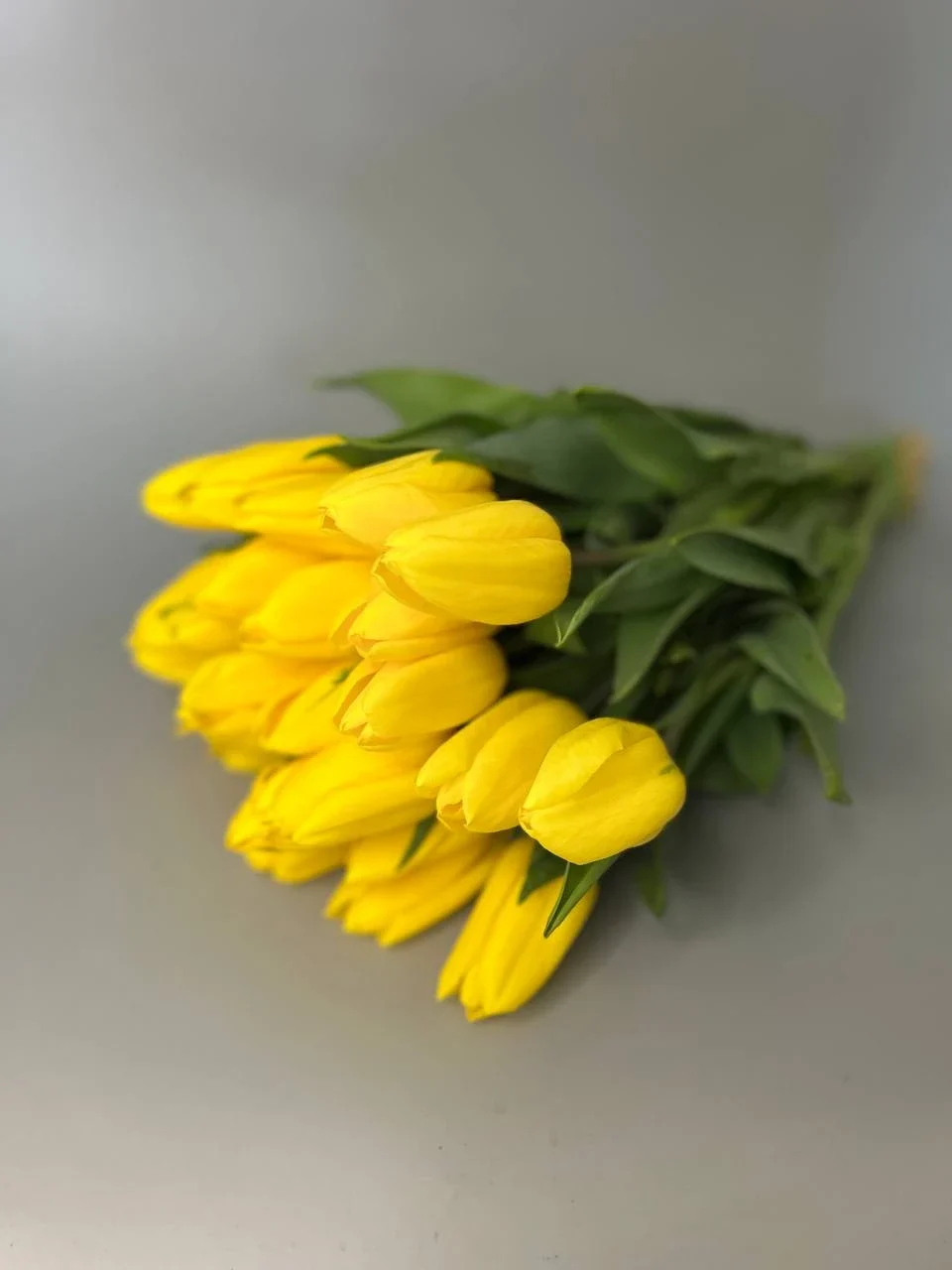 Żółte tulipany  - 25 szt